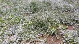 Free download Grass Snow Cold -  free video to be edited with OpenShot online video editor