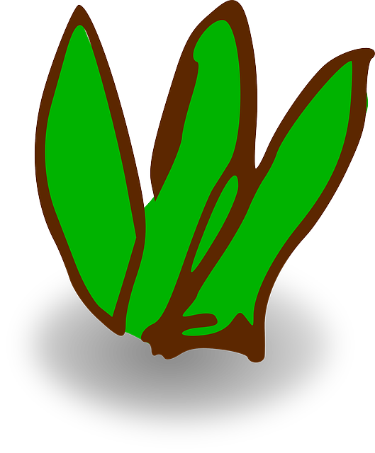 Free download Grass Spring Summer - Free vector graphic on Pixabay free illustration to be edited with GIMP free online image editor