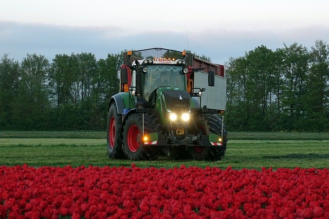 Descărcare gratuită tractor iarbă cosit agricultura poza gratuită pentru a fi editată cu editorul de imagini online gratuit GIMP