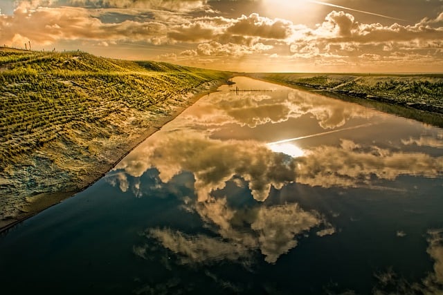 Free graphic grass water sun clouds reflection to be edited by GIMP free image editor by OffiDocs
