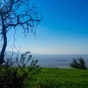 Grassy hills and fog  screen for extension Chrome web store in OffiDocs Chromium
