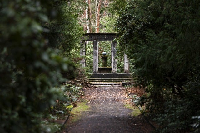 Free download graveyard path forest green free picture to be edited with GIMP free online image editor