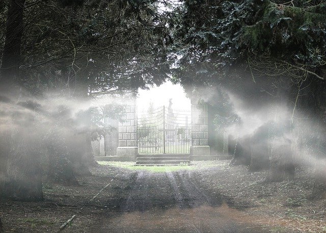 دانلود رایگان Graveyard Spooky Halloween - عکس یا تصویر رایگان قابل ویرایش با ویرایشگر تصویر آنلاین GIMP