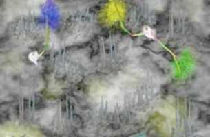 Free download Gray Matters free photo or picture to be edited with GIMP online image editor