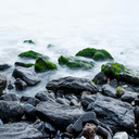 Gray Rocks With Moss  screen for extension Chrome web store in OffiDocs Chromium