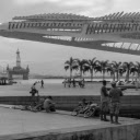 Grayscale Photo of People Standing on the Park  screen for extension Chrome web store in OffiDocs Chromium