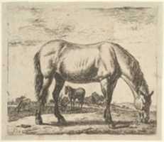 Free download Grazing Horse, from Different Animals free photo or picture to be edited with GIMP online image editor
