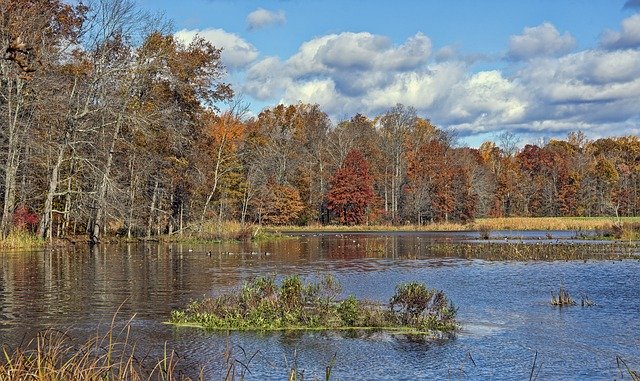 Bezpłatne pobieranie Great Swamp Wildlife Refuge - bezpłatne zdjęcie lub obraz do edycji za pomocą internetowego edytora obrazów GIMP