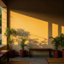 Green Balcony  screen for extension Chrome web store in OffiDocs Chromium