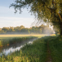 Green bamboo fields and fields  screen for extension Chrome web store in OffiDocs Chromium