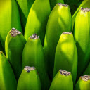 Green banana bunch  screen for extension Chrome web store in OffiDocs Chromium