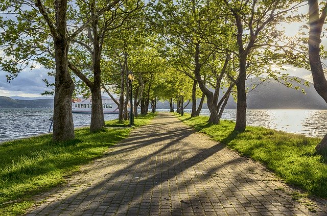 Téléchargement gratuit de Green Boat Trees - photo ou image gratuite à modifier avec l'éditeur d'images en ligne GIMP