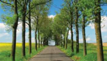 Free download greencaranimation72once free photo or picture to be edited with GIMP online image editor