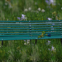 Green chair and rose  screen for extension Chrome web store in OffiDocs Chromium