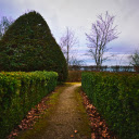 Green fence  screen for extension Chrome web store in OffiDocs Chromium