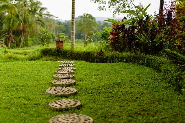 ดาวน์โหลดฟรี Green Field Bali - ภาพถ่ายหรือรูปภาพฟรีที่จะแก้ไขด้วยโปรแกรมแก้ไขรูปภาพออนไลน์ GIMP