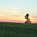 Green fields  screen for extension Chrome web store in OffiDocs Chromium