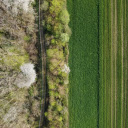 Green fields next to the forest  screen for extension Chrome web store in OffiDocs Chromium