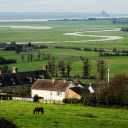Green fields of the homeland  screen for extension Chrome web store in OffiDocs Chromium