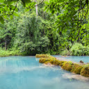 green forest and stream  screen for extension Chrome web store in OffiDocs Chromium
