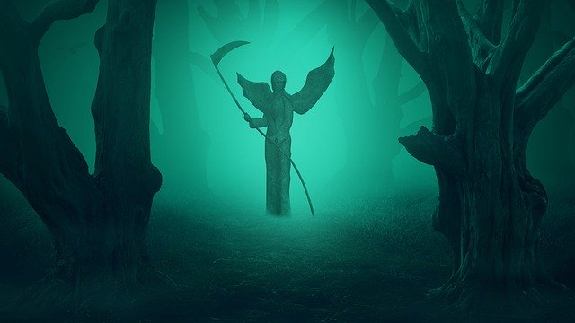 Free download Green Forest Fog -  free illustration to be edited with GIMP free online image editor