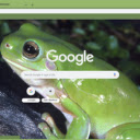 Green Frog  screen for extension Chrome web store in OffiDocs Chromium