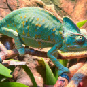 Green gecko  screen for extension Chrome web store in OffiDocs Chromium