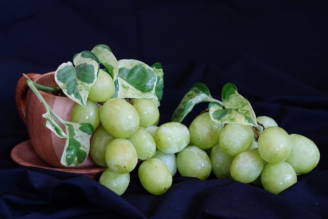 Free download green grapes grapes fruits sweet free picture to be edited with GIMP free online image editor