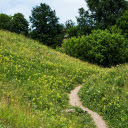 Green Grass Hill  screen for extension Chrome web store in OffiDocs Chromium