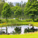 Green grass lake  screen for extension Chrome web store in OffiDocs Chromium