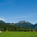 Green Grassland  screen for extension Chrome web store in OffiDocs Chromium