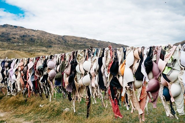 Free download green grass laundry bra underwear free picture to be edited with GIMP free online image editor