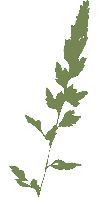 Free download Green Grass Plant - Free vector graphic on Pixabay free illustration to be edited with GIMP free online image editor