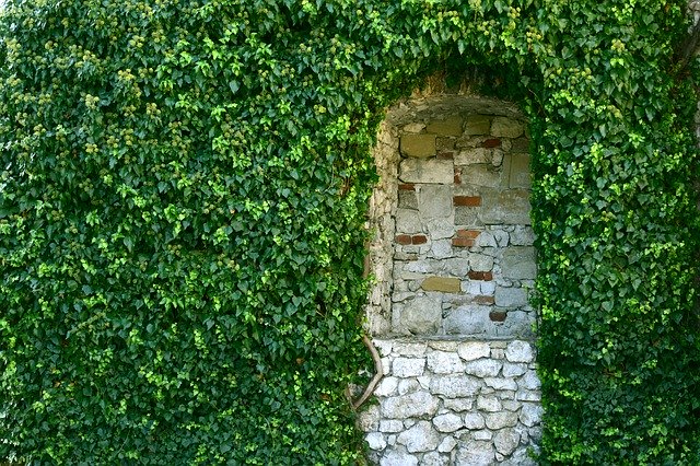 Free download Green Greenwall Castle -  free photo or picture to be edited with GIMP online image editor