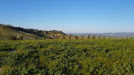 Free download Green Hills Tuscany Italy -  free video to be edited with OpenShot online video editor