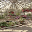 greenhouse flower garden wallpaper  screen for extension Chrome web store in OffiDocs Chromium