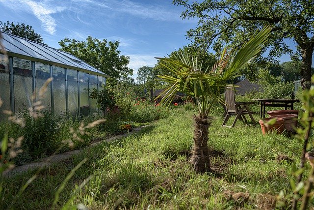 Kostenloser Download Greenhouse Garden Idyllic - kostenloses Foto oder Bild zur Bearbeitung mit GIMP Online-Bildbearbeitung