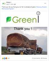 Free download greeni free photo or picture to be edited with GIMP online image editor