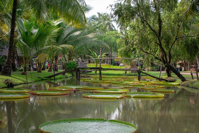 Tải xuống miễn phí Green Lake Park - ảnh hoặc ảnh miễn phí miễn phí được chỉnh sửa bằng trình chỉnh sửa ảnh trực tuyến GIMP