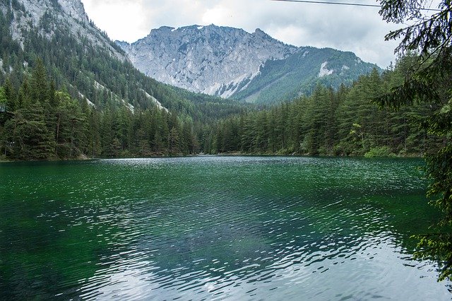 Green Lake Styria 무료 다운로드 - 무료 사진 또는 GIMP 온라인 이미지 편집기로 편집할 사진