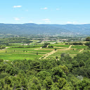 Green lungs  screen for extension Chrome web store in OffiDocs Chromium