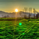 green meadows  screen for extension Chrome web store in OffiDocs Chromium