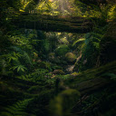 Green Mossy Rock Stream  screen for extension Chrome web store in OffiDocs Chromium