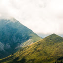 Green mountant  screen for extension Chrome web store in OffiDocs Chromium