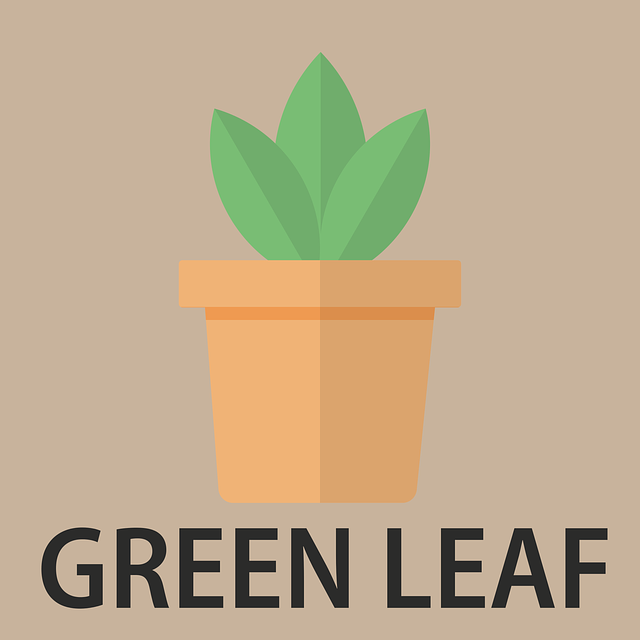免费下载 绿色 自然 叶免费矢量图形Pixabay 免费插画 使用GIMP 在线图像编辑器进行编辑