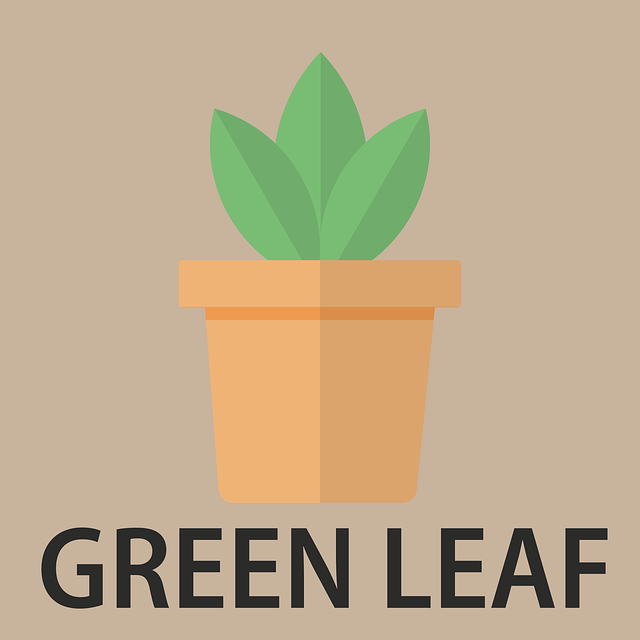 تنزيل مجاني Green Nature Leaf رسم متجه مجاني على رسم توضيحي مجاني لـ Pixabay ليتم تحريره باستخدام محرر الصور عبر الإنترنت GIMP