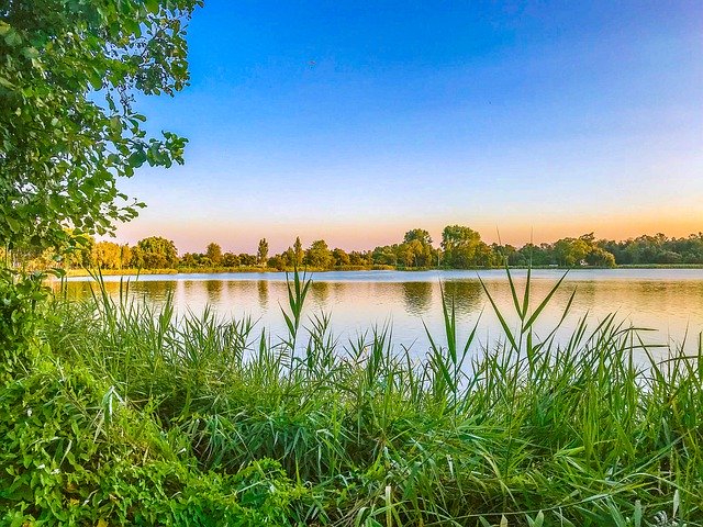 Téléchargement gratuit de Green Nature Sky - photo ou image gratuite à modifier avec l'éditeur d'images en ligne GIMP