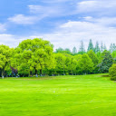 Green park and green lawn  screen for extension Chrome web store in OffiDocs Chromium