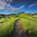 Green pastures  screen for extension Chrome web store in OffiDocs Chromium