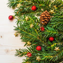 Green pine leaves  screen for extension Chrome web store in OffiDocs Chromium